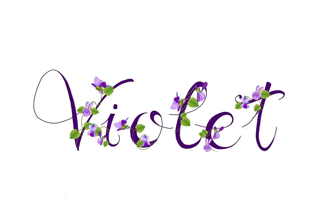 Appartamento Violet - Parma-1