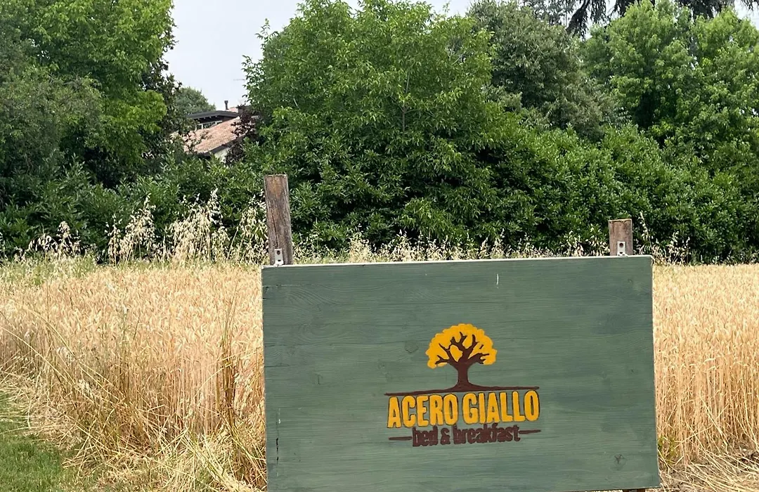 Acero Giallo-1