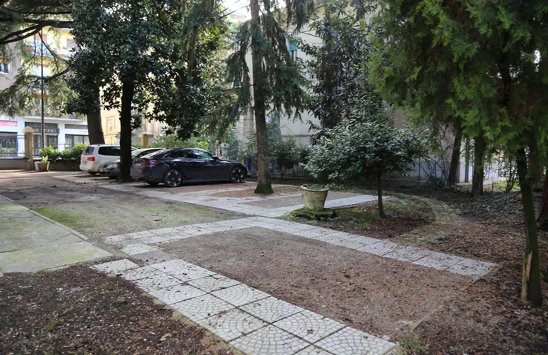 La Magnolia / del ducato-1
