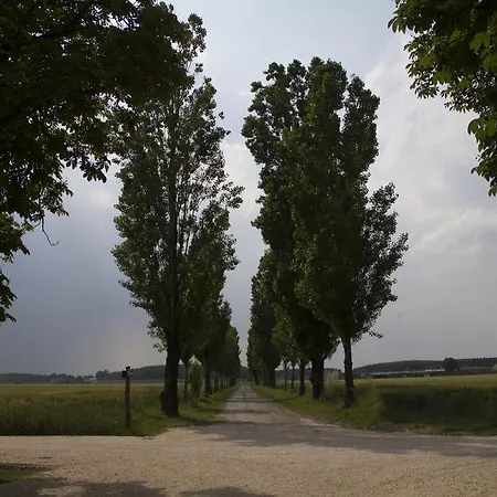 Locanda Abbazia Di Valserena - Csac-2